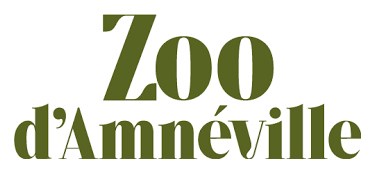 Optoma fesselt erneut das Publikum mit dem größten Holographie-Kino der Welt 