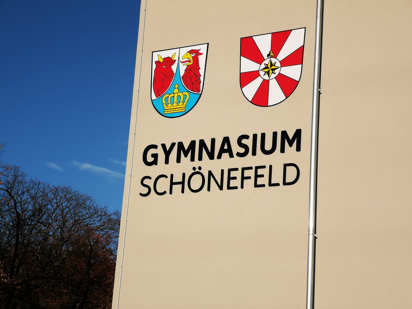 Digitale Transformation an Schulen mit Optoma Lösungen!